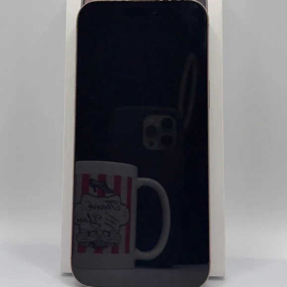 APPLE IPHONE 16 PRO MAX 256GB!